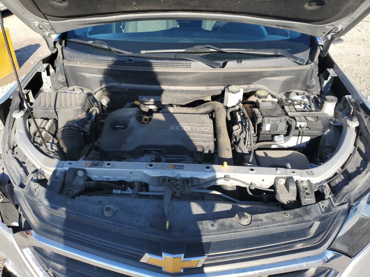 2GNAXKEV8K6243394 2019 Chevrolet Equinox Lt