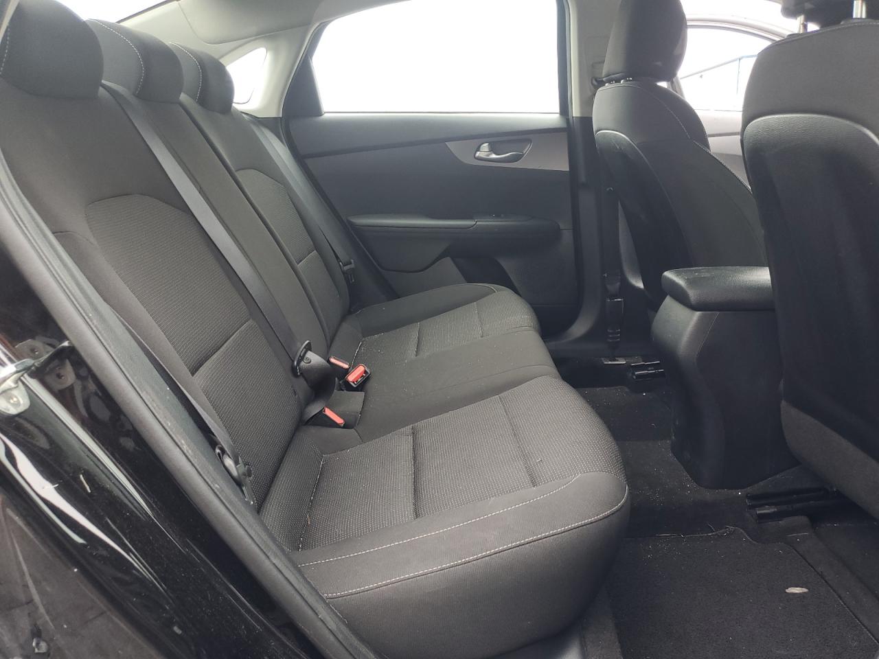 2019 Kia Forte Fe VIN: 3KPF24AD0KE124664 Lot: 64065734