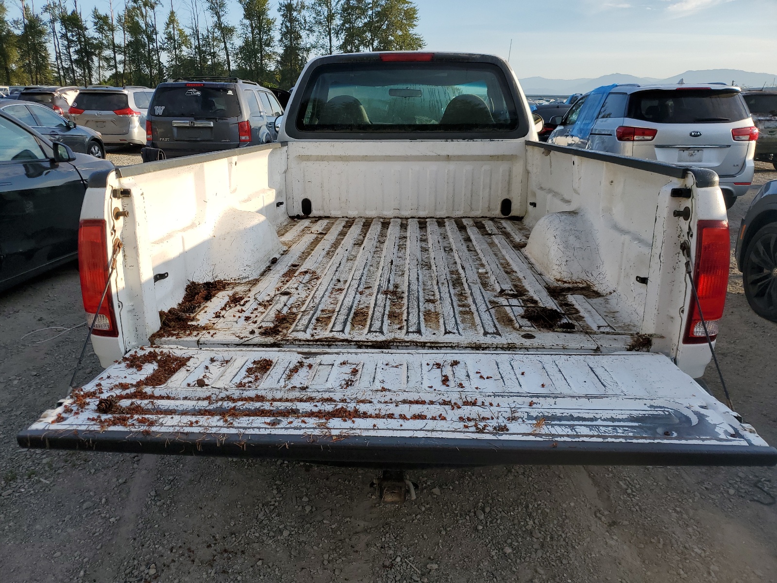 1FTRF17W7XKA19276 1999 Ford F150