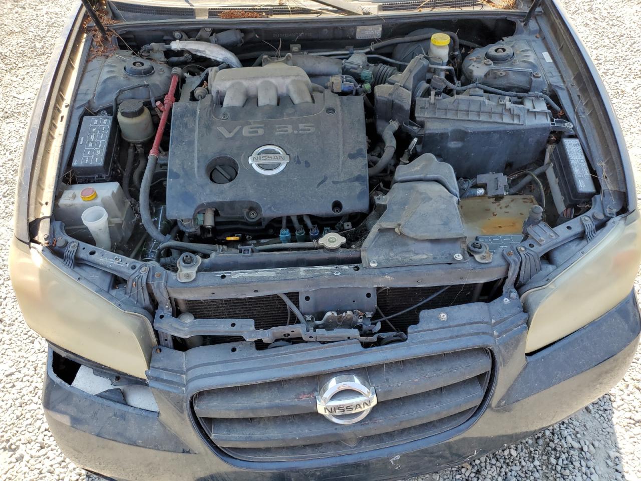 JN1DA31A02T311908 2002 Nissan Maxima Gle