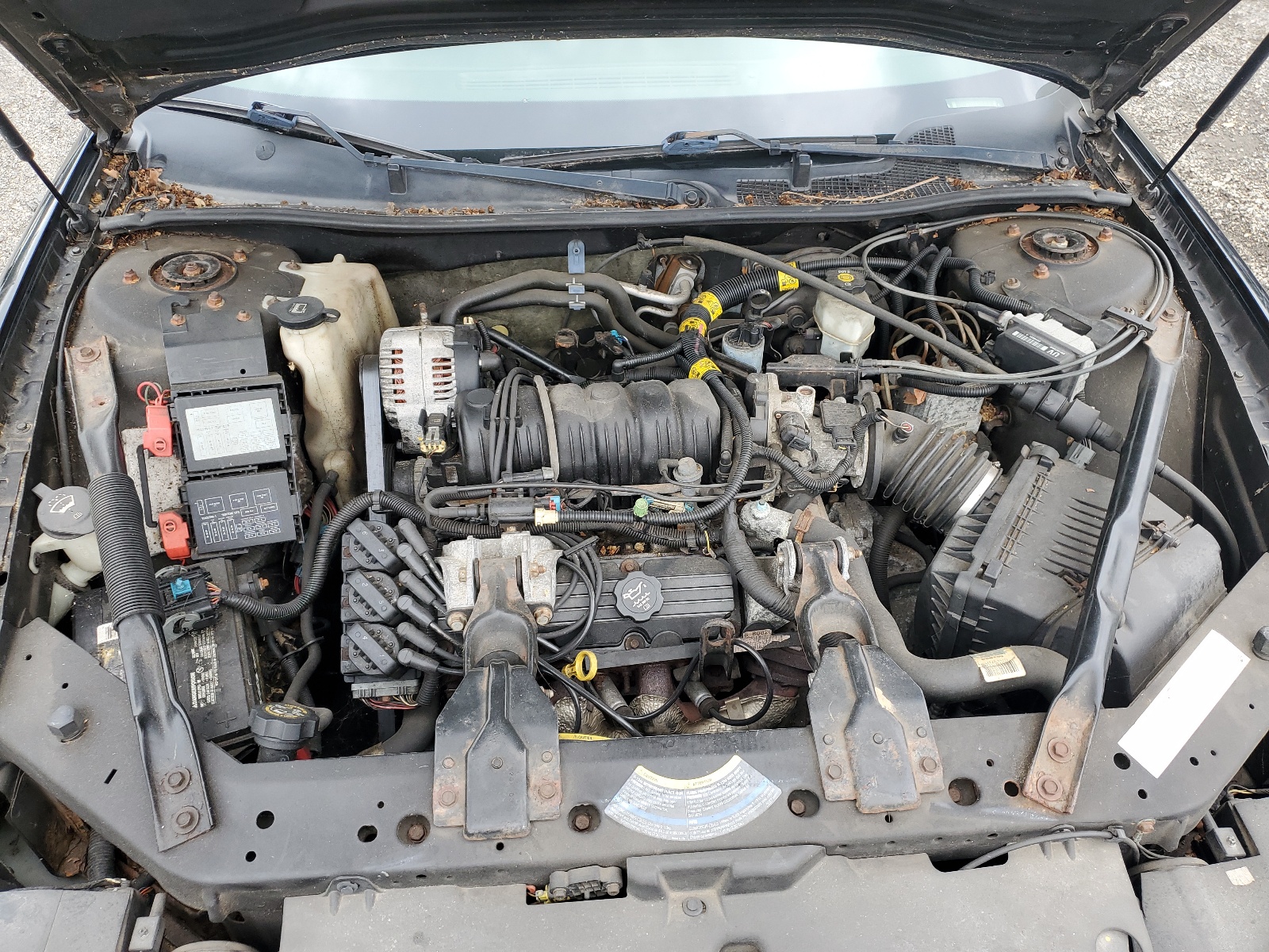 2G1WX15K549208997 2004 Chevrolet Monte Carlo Ss