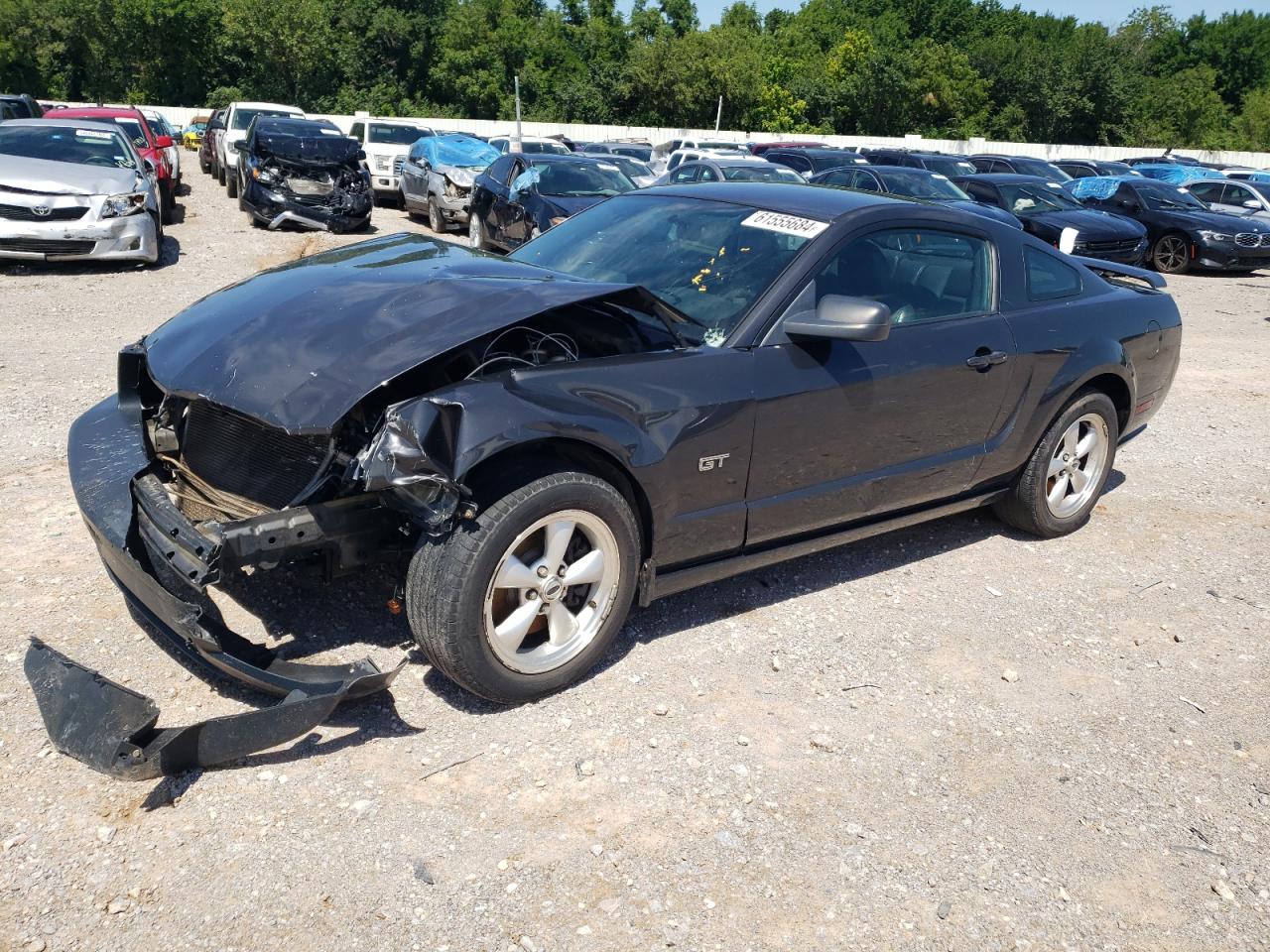 2007 Ford Mustang Gt VIN: 1ZVFT82H975235896 Lot: 61555684