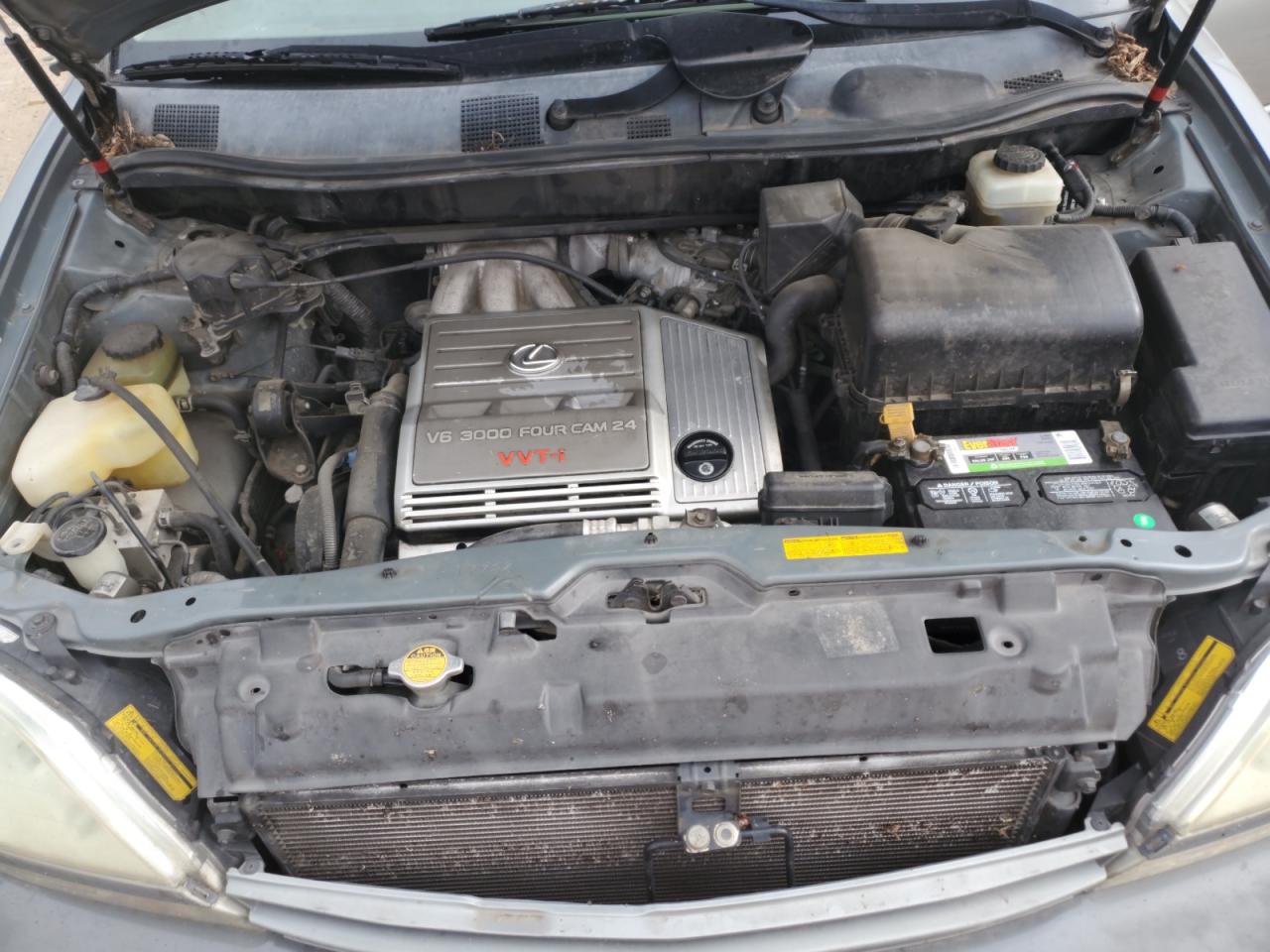 2002 Lexus Rx 300 VIN: JTJGF10U820129240 Lot: 64386394