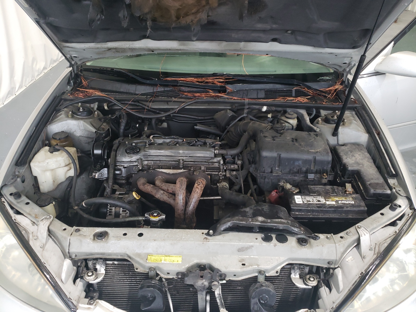 4T1BE32K04U806750 2004 Toyota Camry Le