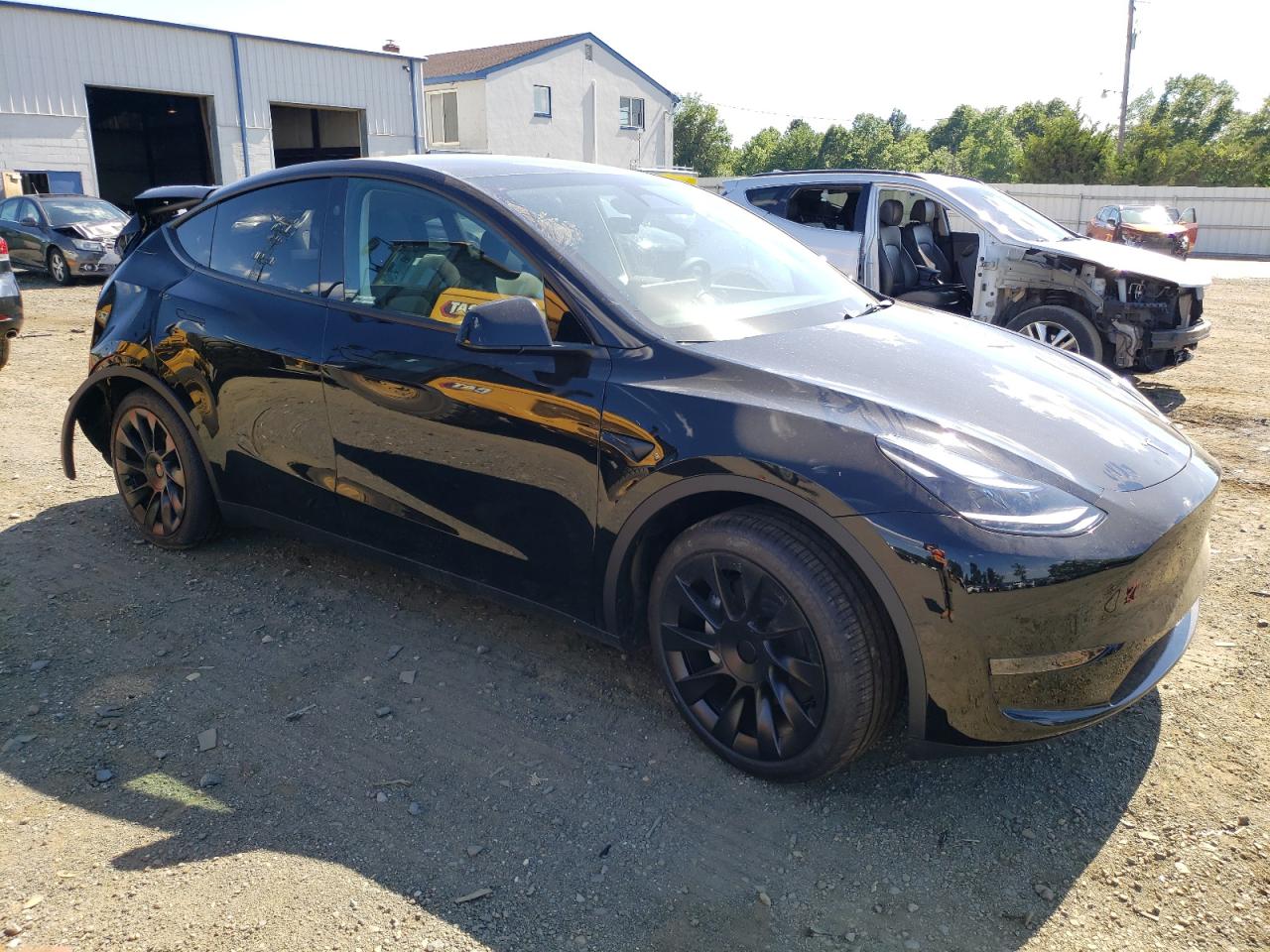 2024 Tesla Model Y VIN: 7SAYGDED4RF091972 Lot: 62535584