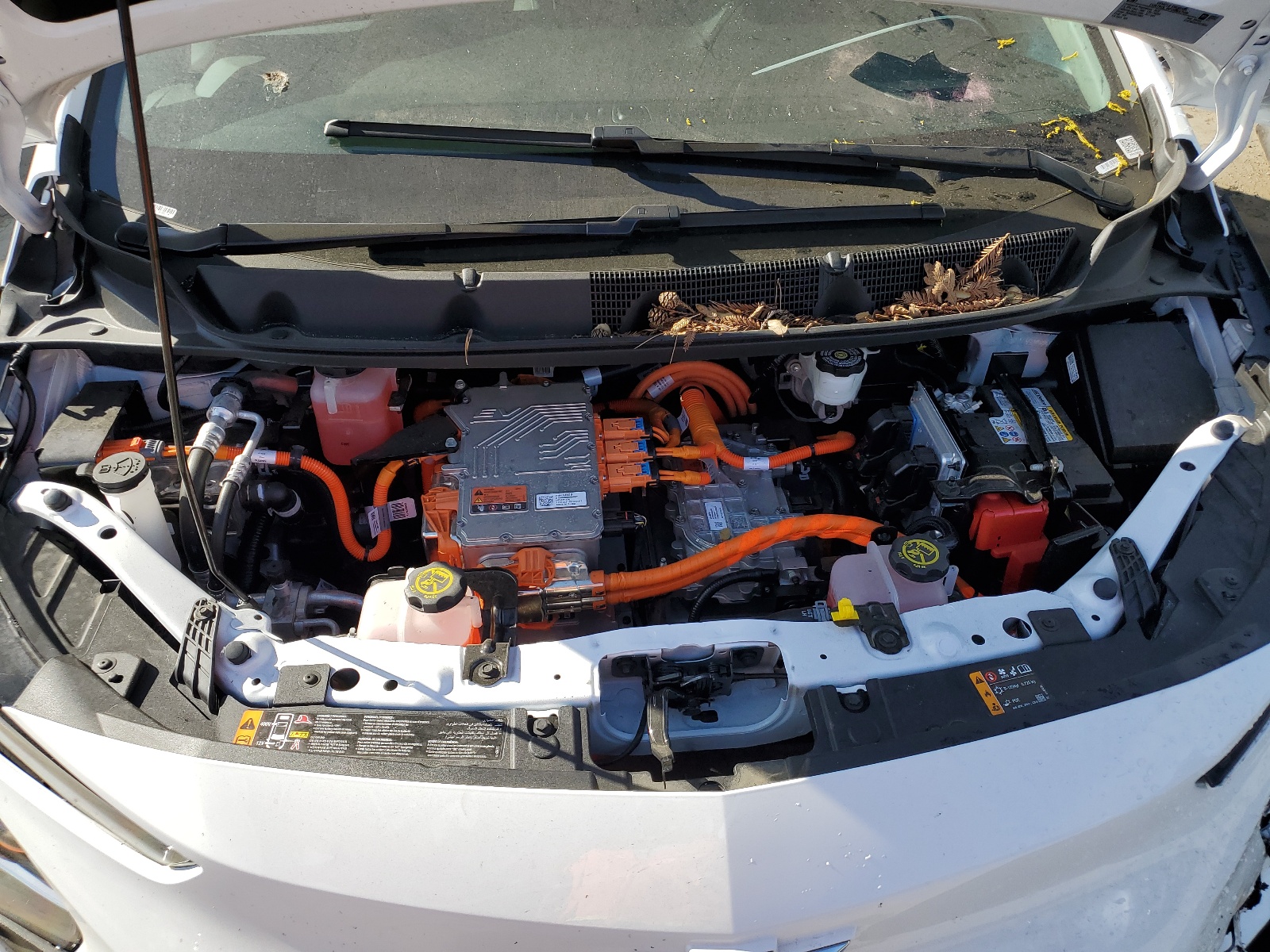 1G1FW6S0XP4176512 2023 Chevrolet Bolt Ev 1Lt