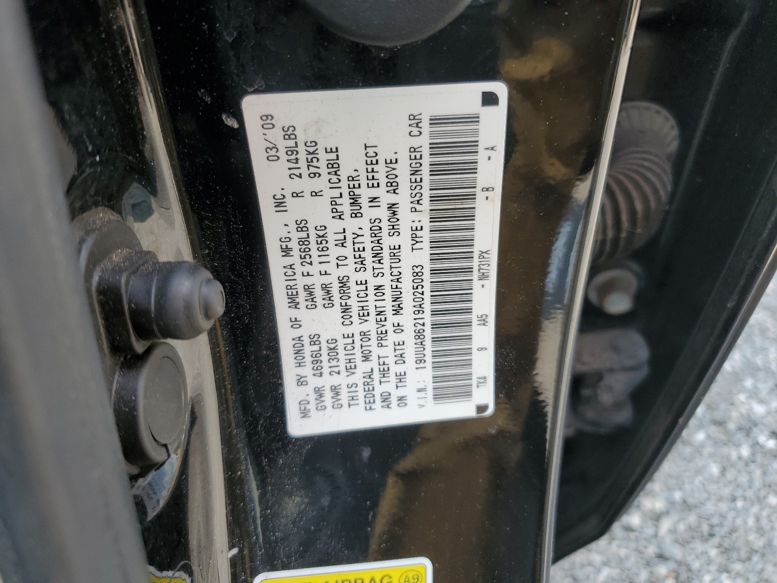 19UUA86219A025083 2009 Acura Tl