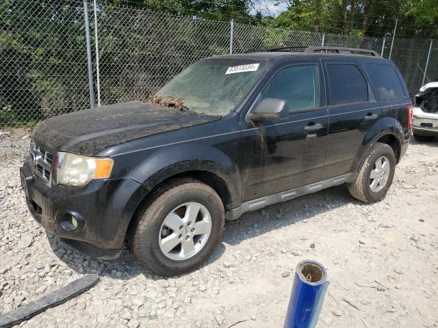 2010 Ford Escape Xlt იყიდება Cicero-ში, IN - Water/Flood