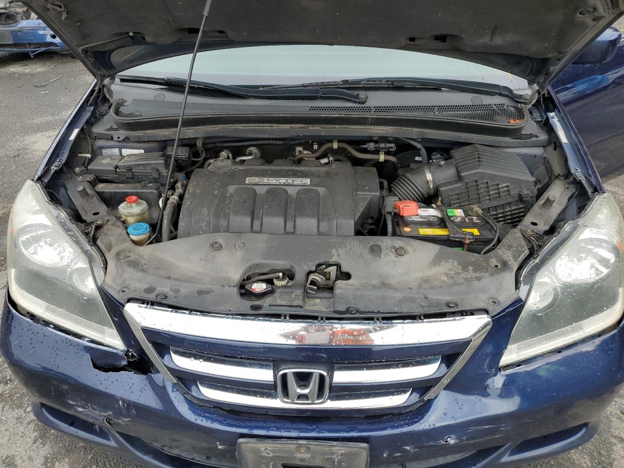 2007 Honda Odyssey Exl VIN: 5FNRL38667B083454 Lot: 64411594