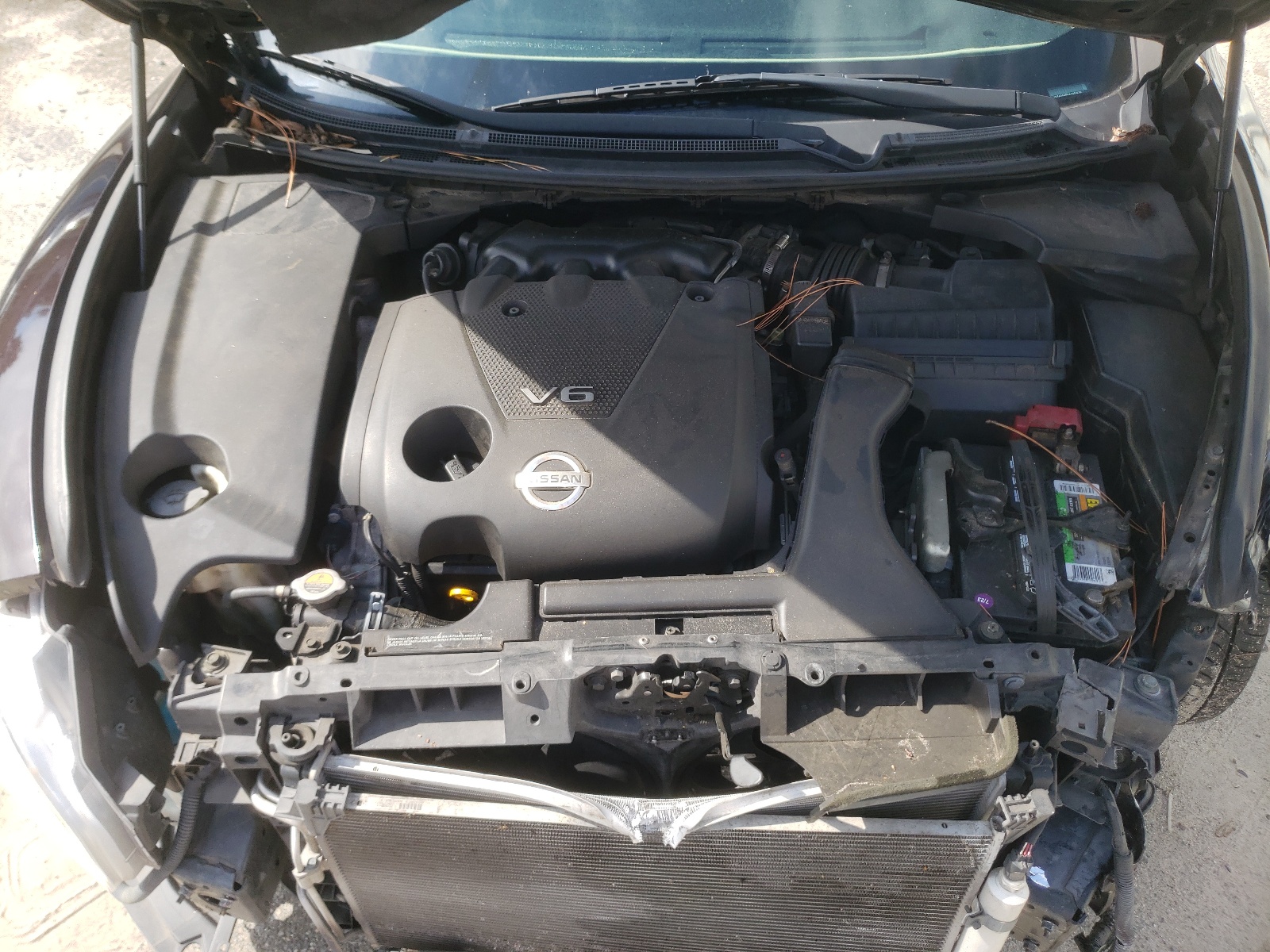 1N4AA5AP0AC850839 2010 Nissan Maxima S