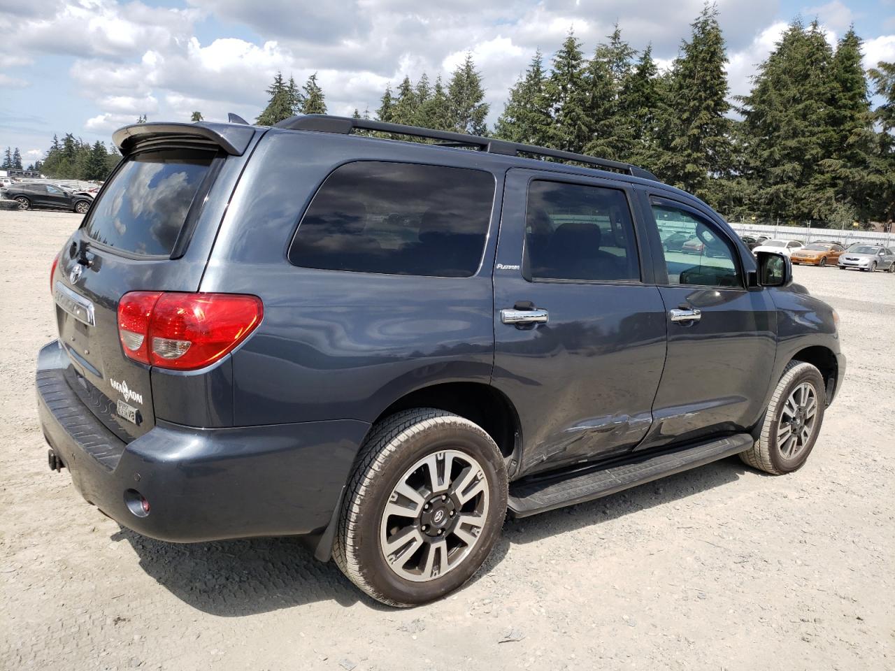 2010 Toyota Sequoia Platinum VIN: 5TDDY5G15AS025982 Lot: 64889644