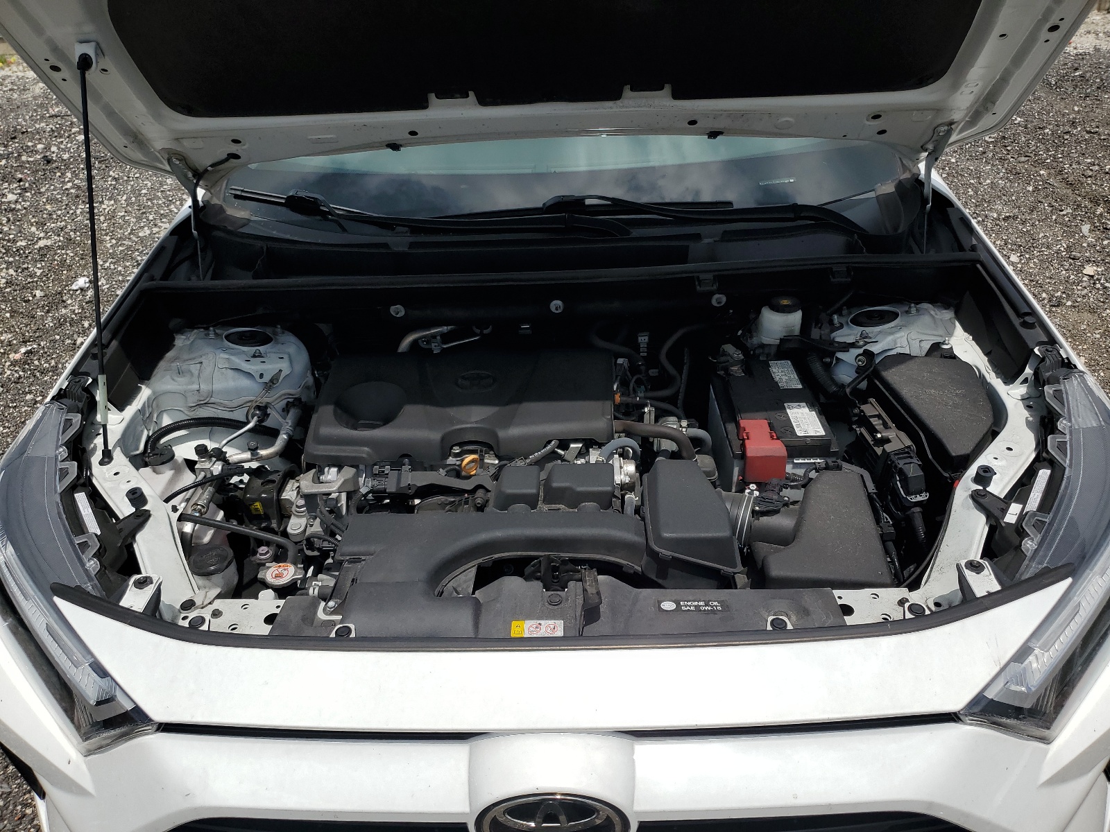 2T3W1RFV1NC185596 2022 Toyota Rav4 Xle