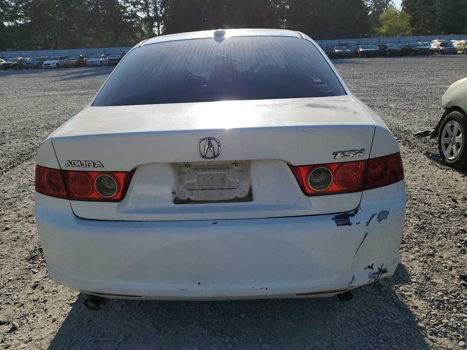 JH4CL96996C011891 2006 Acura Tsx