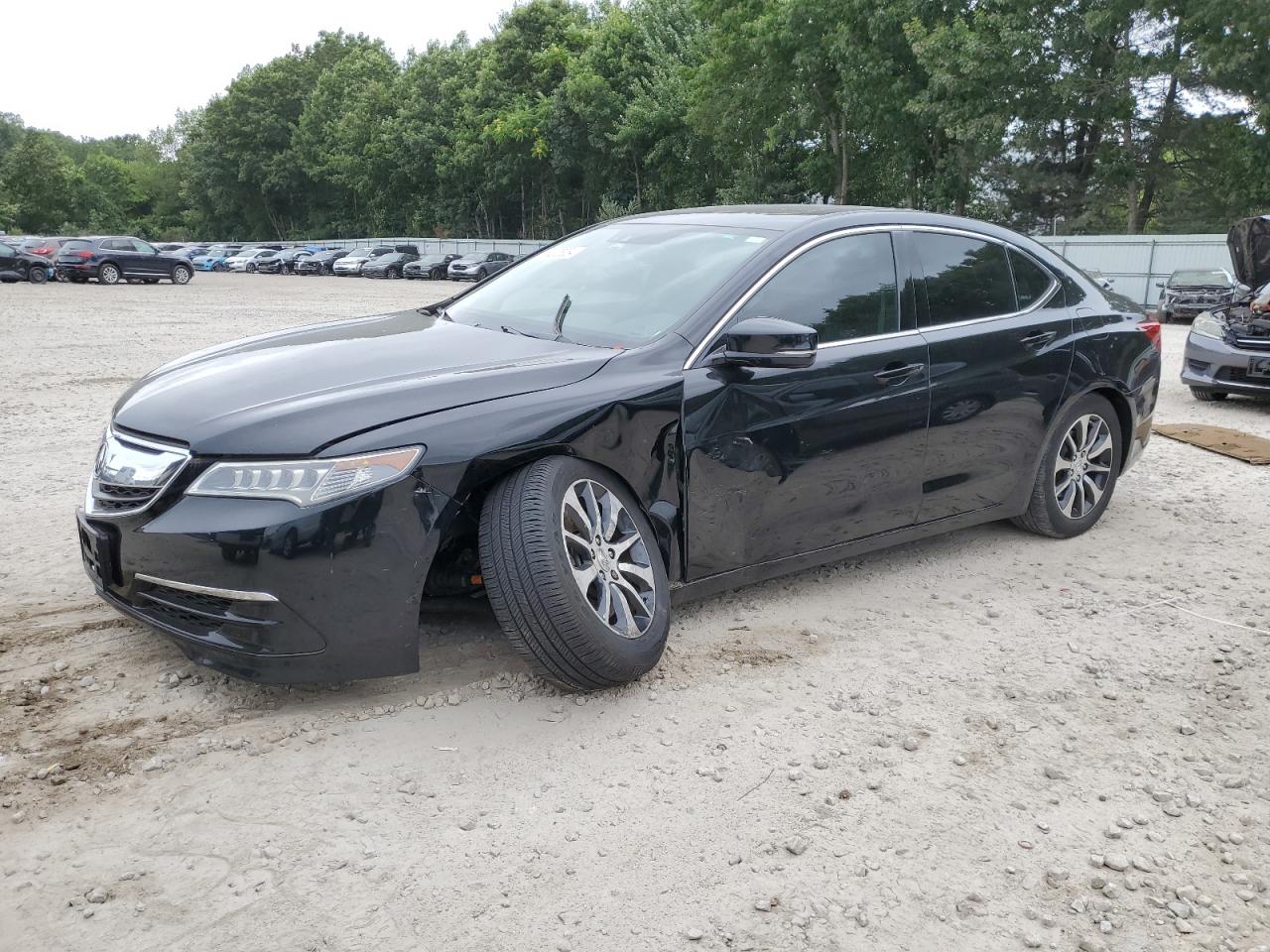 2015 Acura Tlx Tech VIN: 19UUB1F5XFA006848 Lot: 64225384