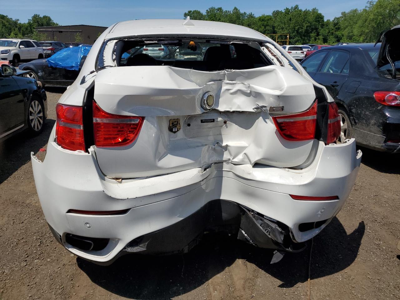 5UXFG8C51CL590254 2012 BMW X6 xDrive50I