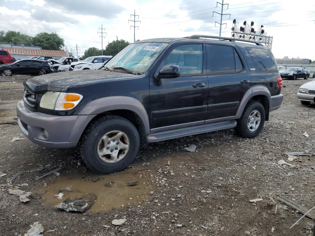 2002 Toyota Sequoia Sr5 VIN: 5TDBT44A02S108080 Lot: 63787894