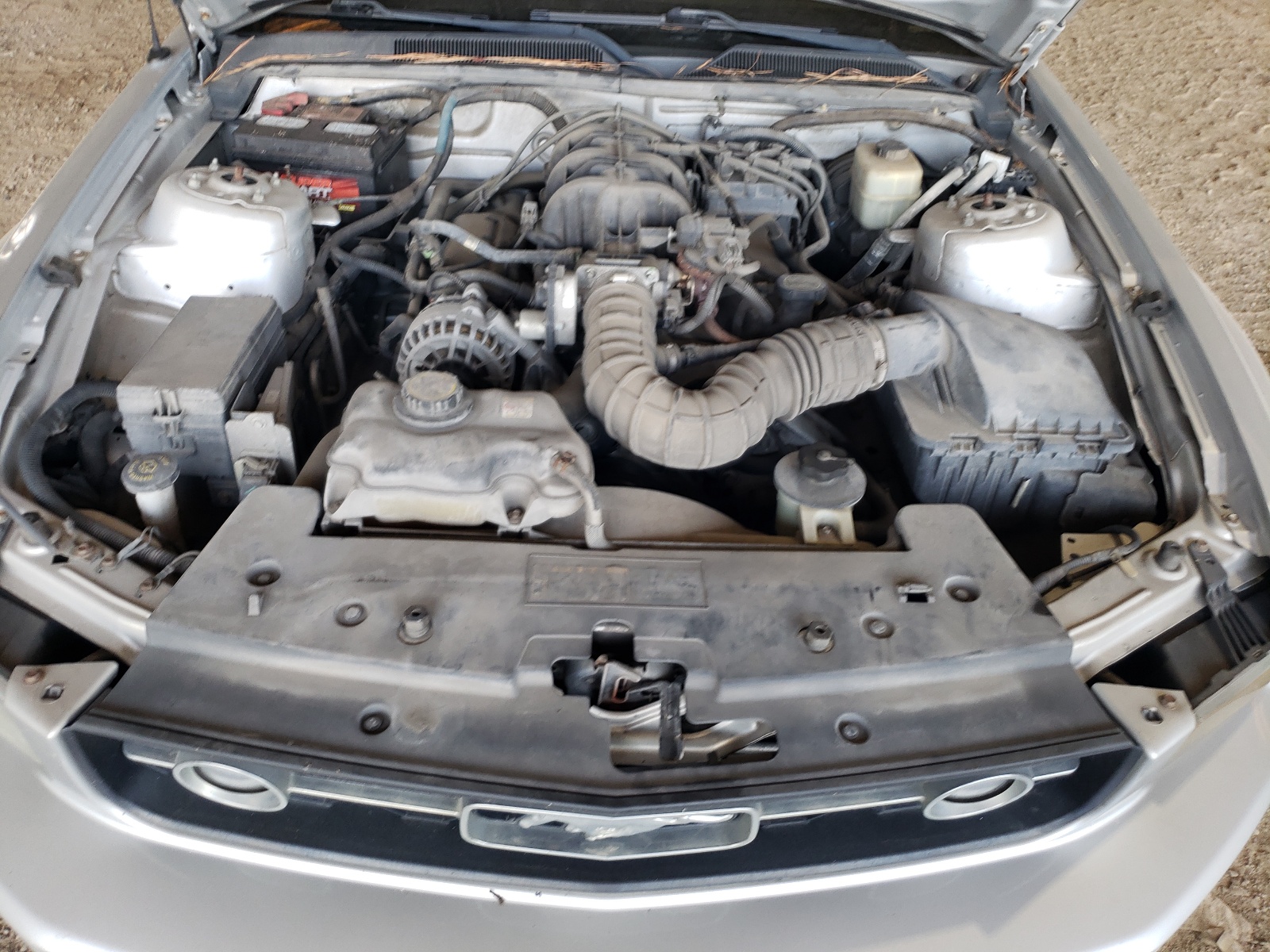 1ZVHT84N485131717 2008 Ford Mustang