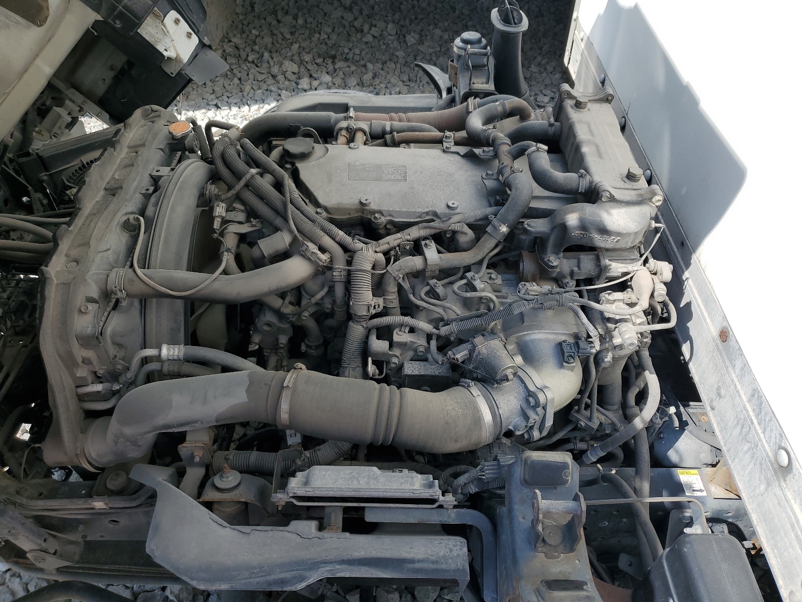 JALE5W161B7901769 2011 Isuzu Nqr