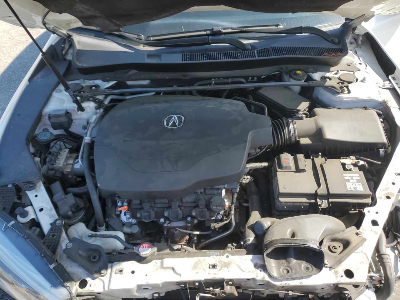 19UUB2F32KA010150 2019 Acura Tlx