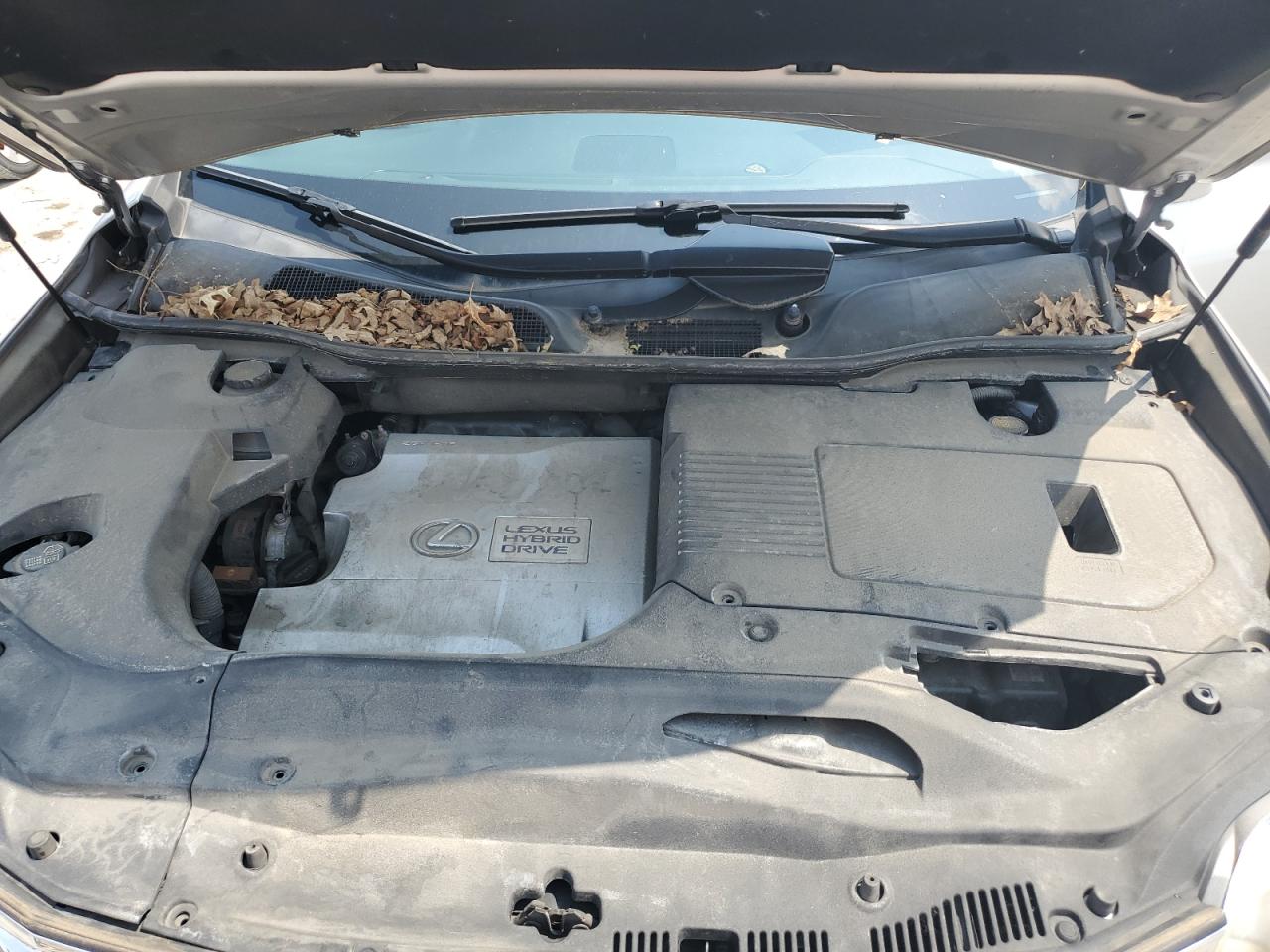 2010 Lexus Rx 450 VIN: JTJBC1BA0A2019131 Lot: 64527344