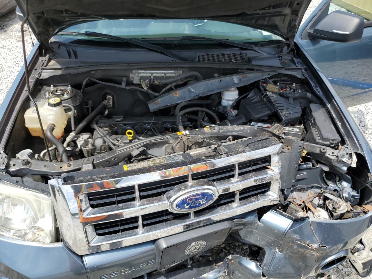 2012 Ford Escape Xlt VIN: 1FMCU0D75CKA21066 Lot: 64497234