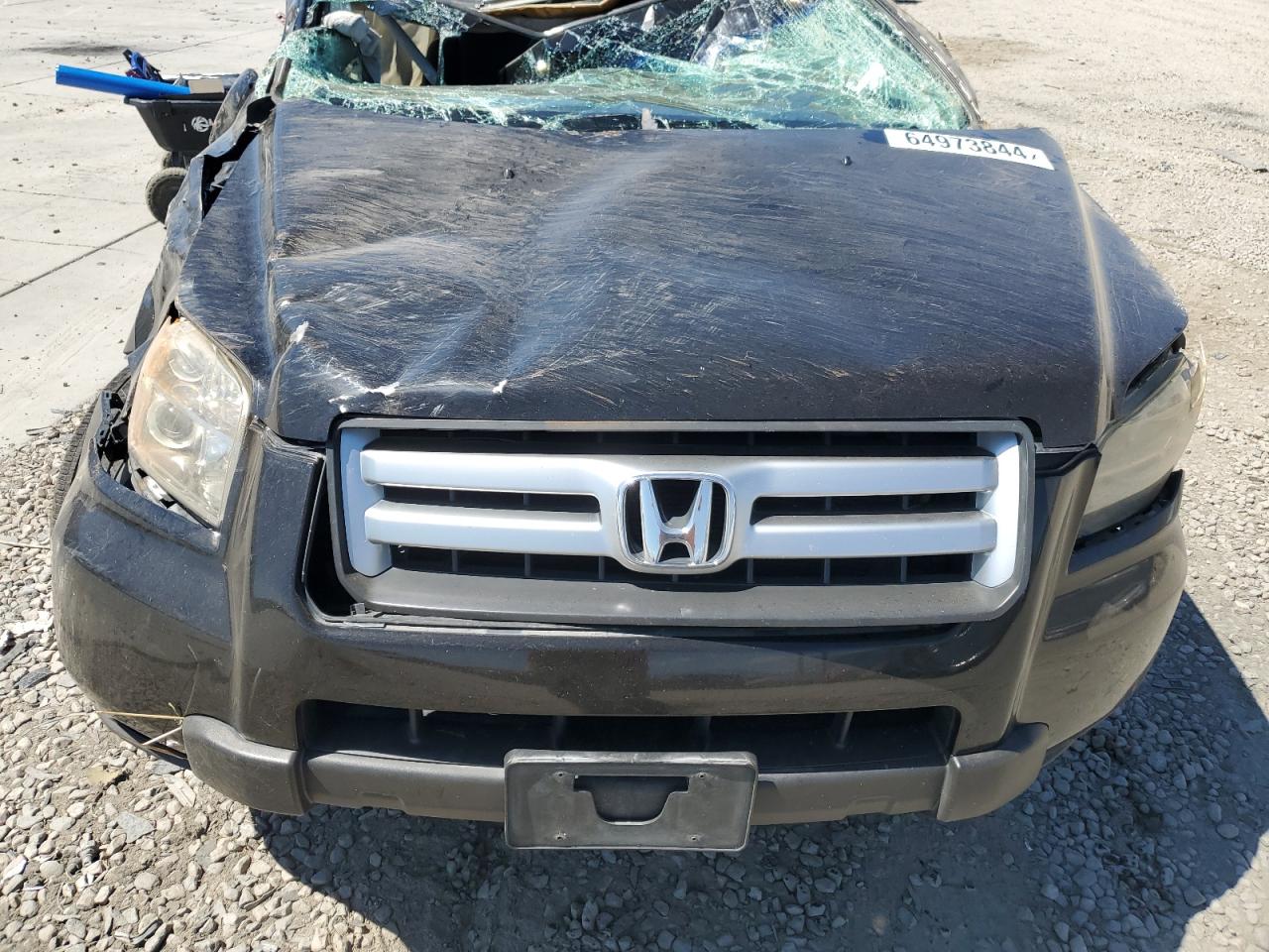 2007 Honda Pilot Exl VIN: 5FNYF28737B024450 Lot: 64973844