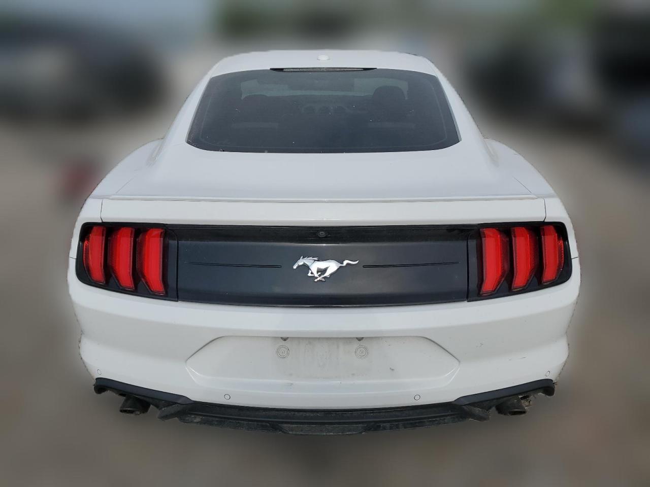 2019 Ford Mustang VIN: 1FA6P8TH9K5129436 Lot: 64938794