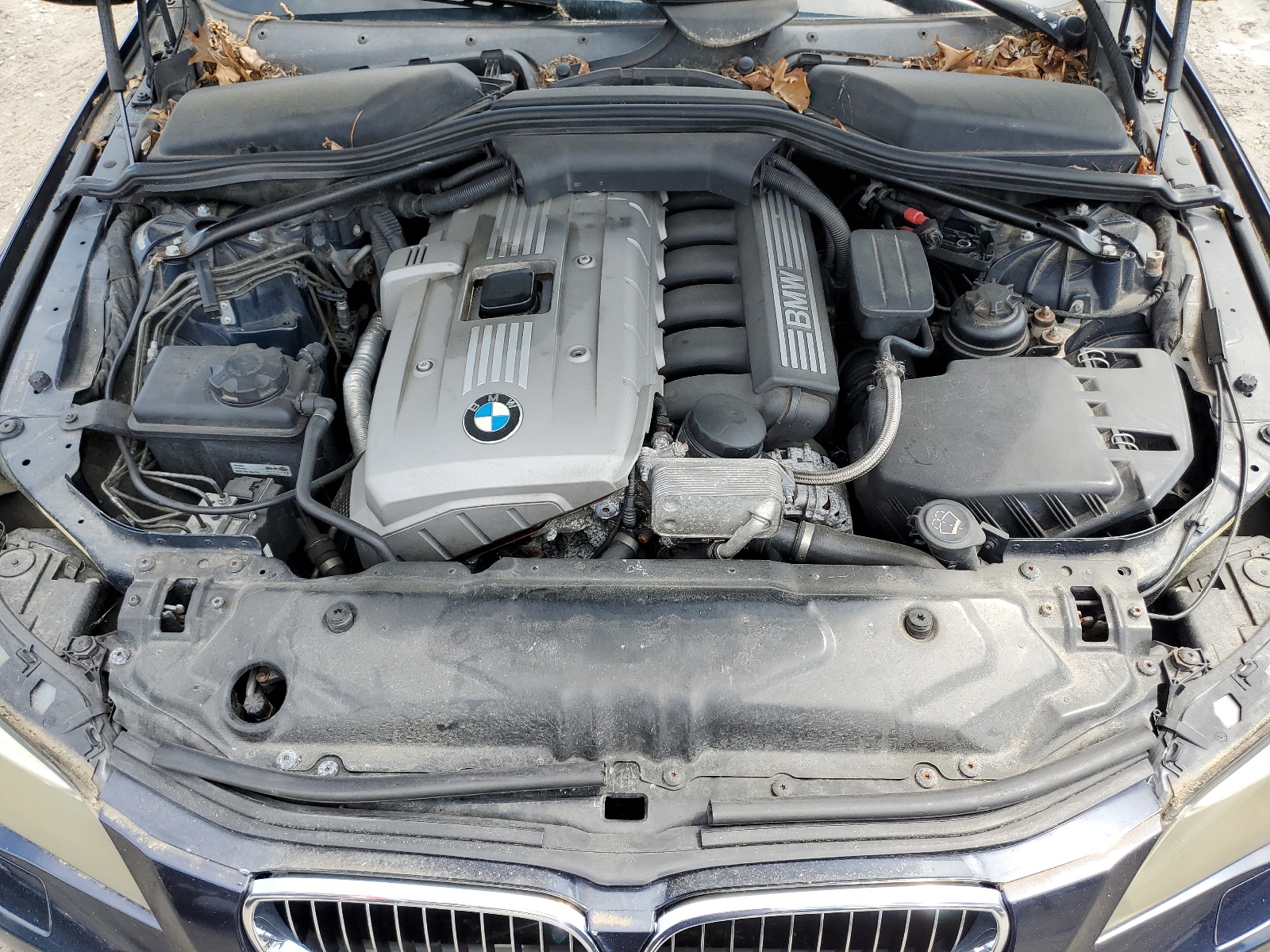 WBANF73526CG68989 2006 BMW 530 Xi