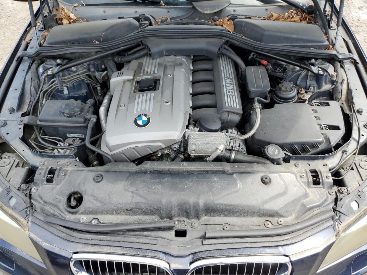 2006 BMW 530 Xi VIN: WBANF73526CG68989 Lot: 65649094