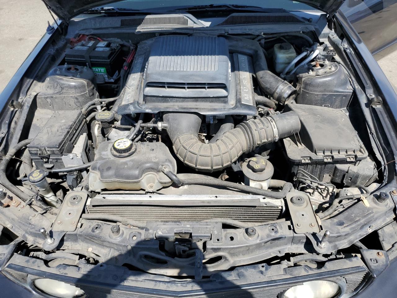 2007 Ford Mustang Gt VIN: 1ZVFT82H775198346 Lot: 63704414