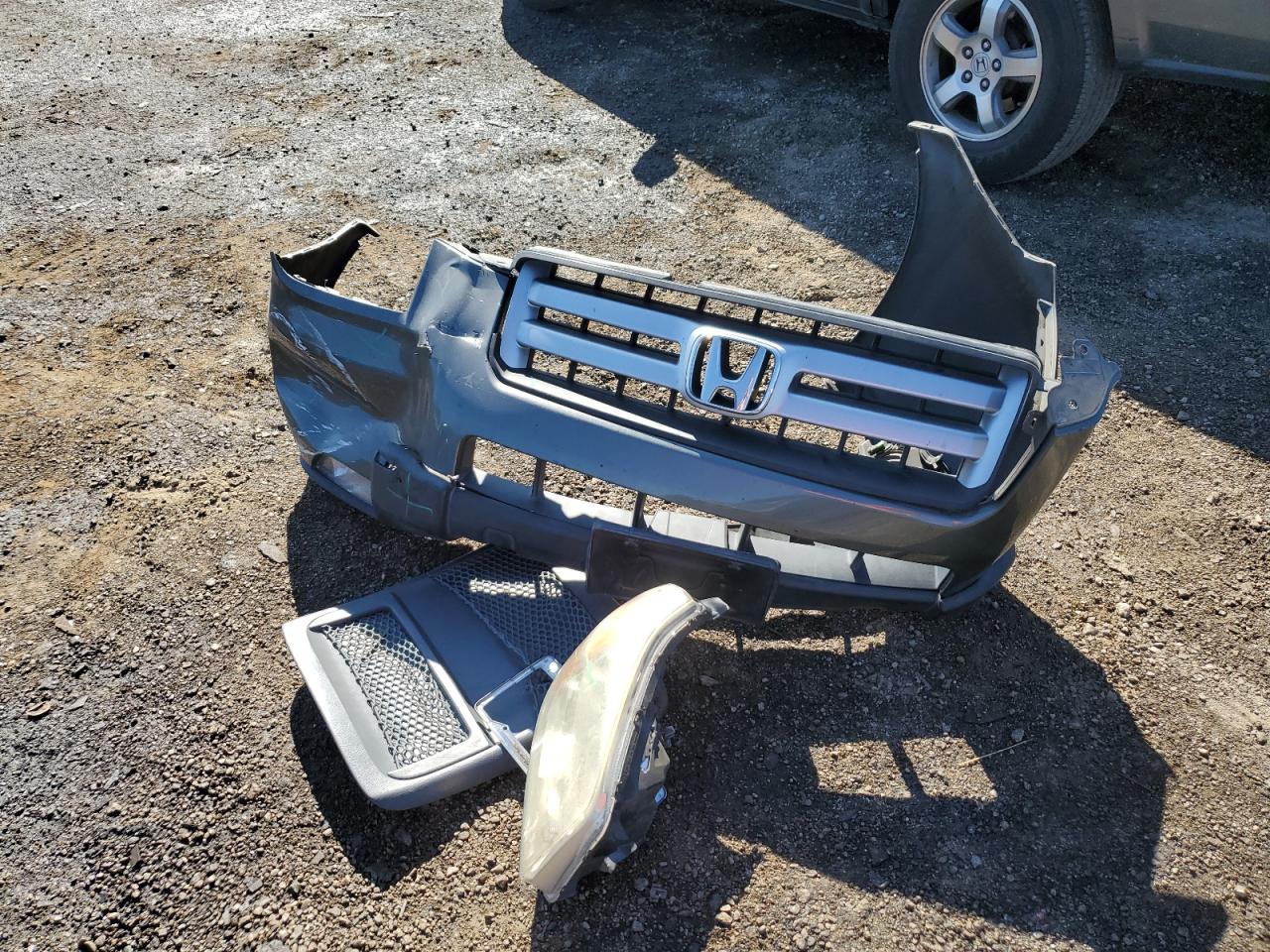 2007 Honda Pilot Exl VIN: 5FNYF28787B027716 Lot: 62145434