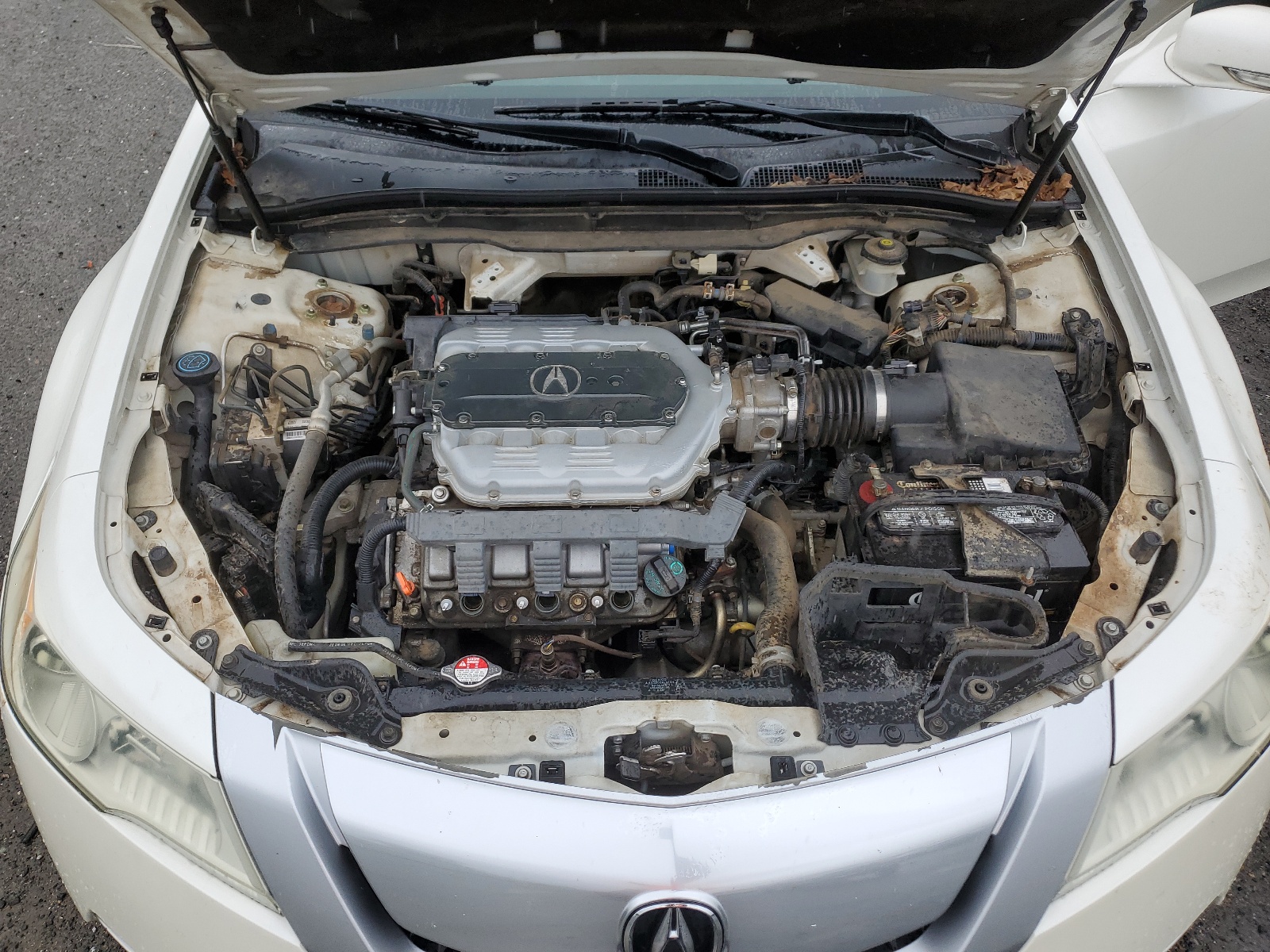 19UUA96569A003290 2009 Acura Tl