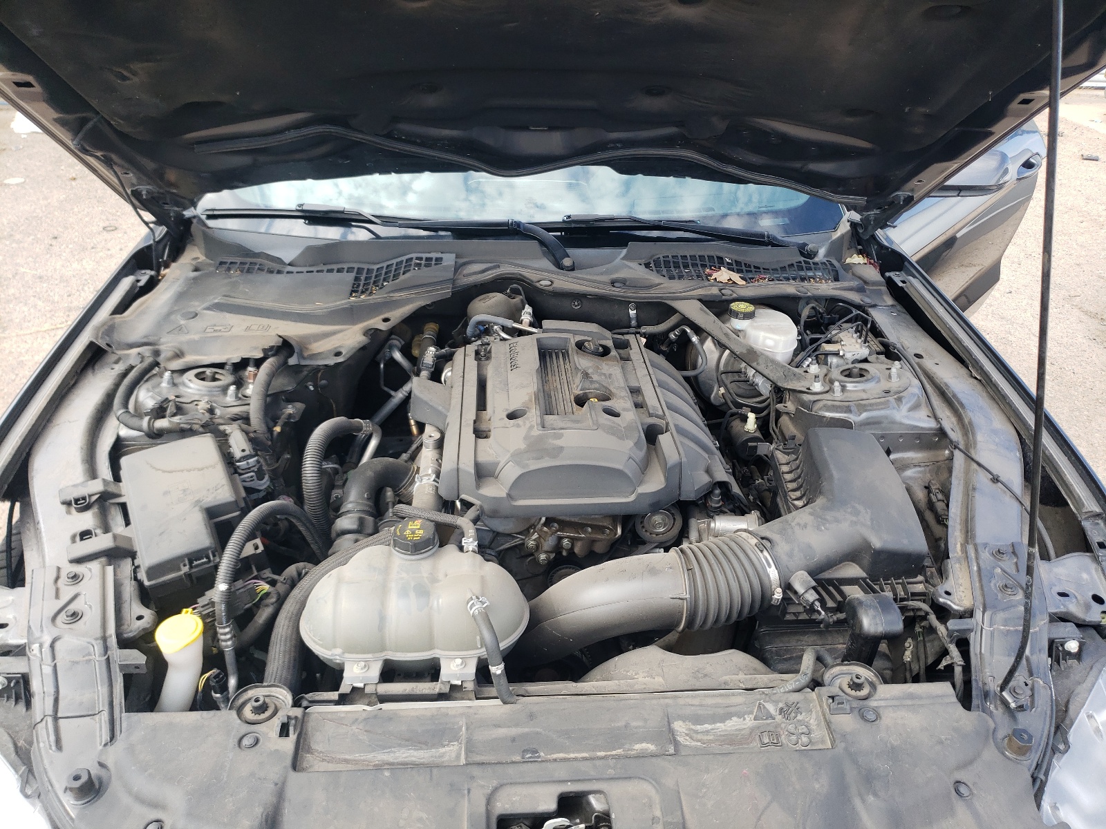 1FATP8UH7J5177436 2018 Ford Mustang