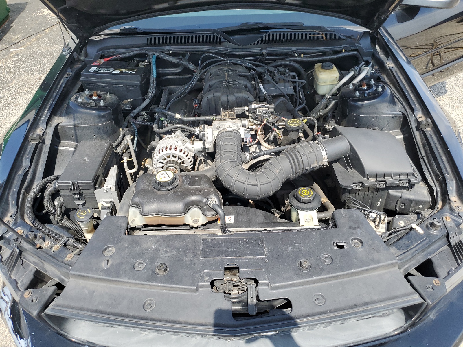 1ZVHT80N485208480 2008 Ford Mustang