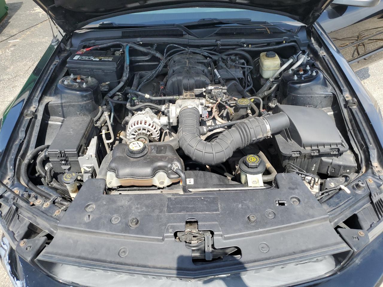 2008 Ford Mustang VIN: 1ZVHT80N485208480 Lot: 65525244