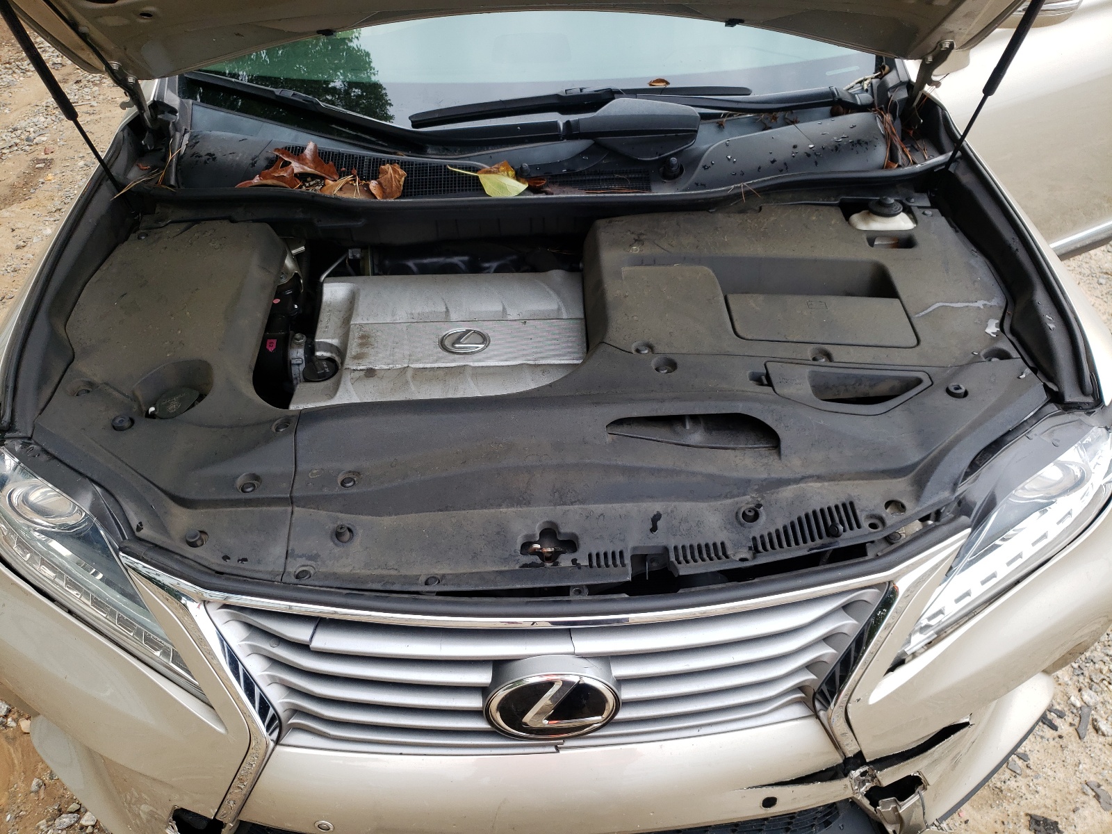 2T2ZK1BAXDC123809 2013 Lexus Rx 350