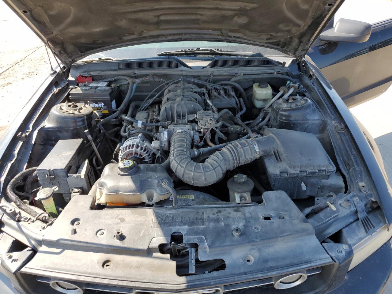 2007 Ford Mustang VIN: 1ZVFT80N375333881 Lot: 61004164