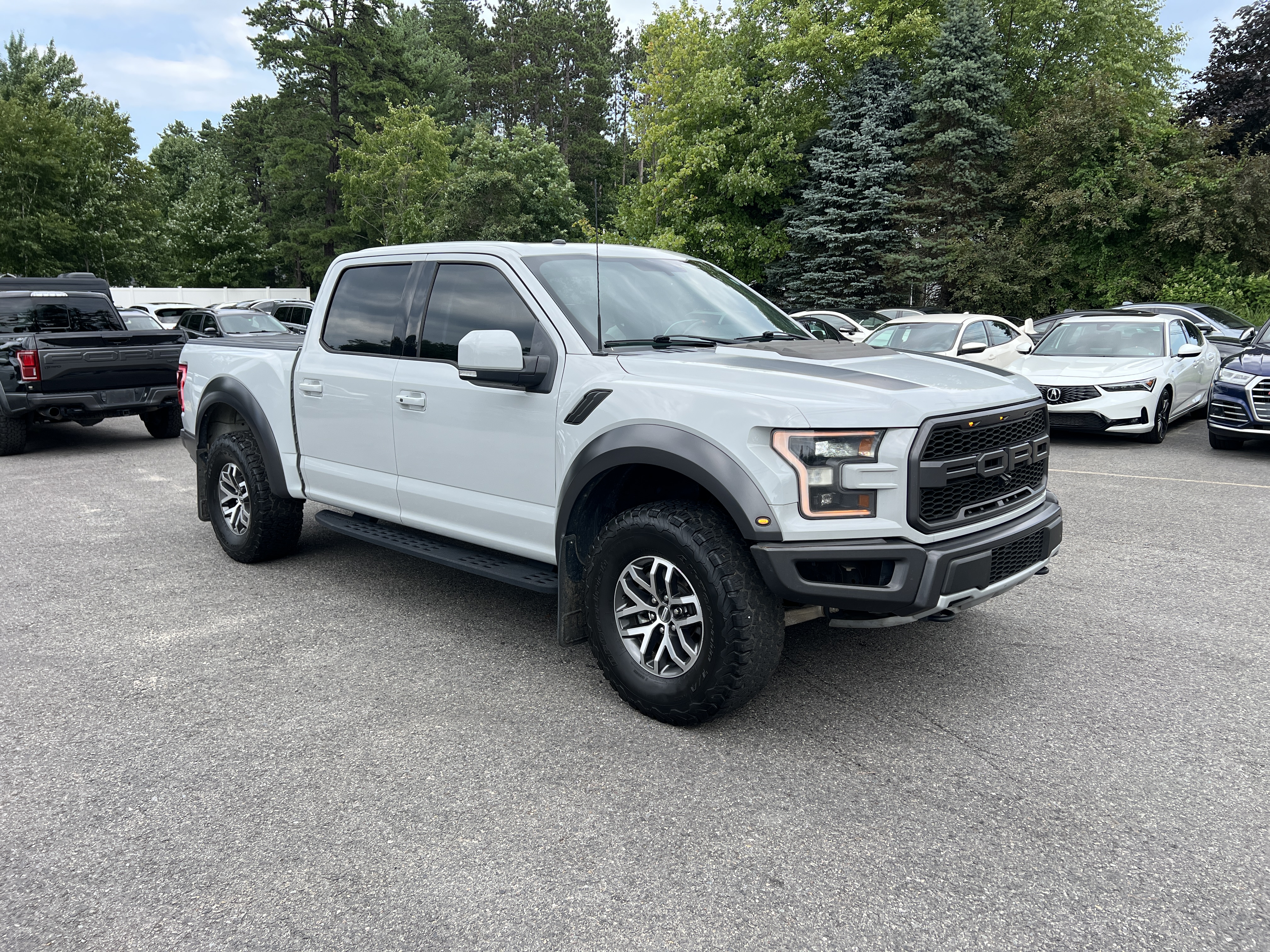 2017 Ford F150 Raptor vin: 1FTFW1RG3HFC77748