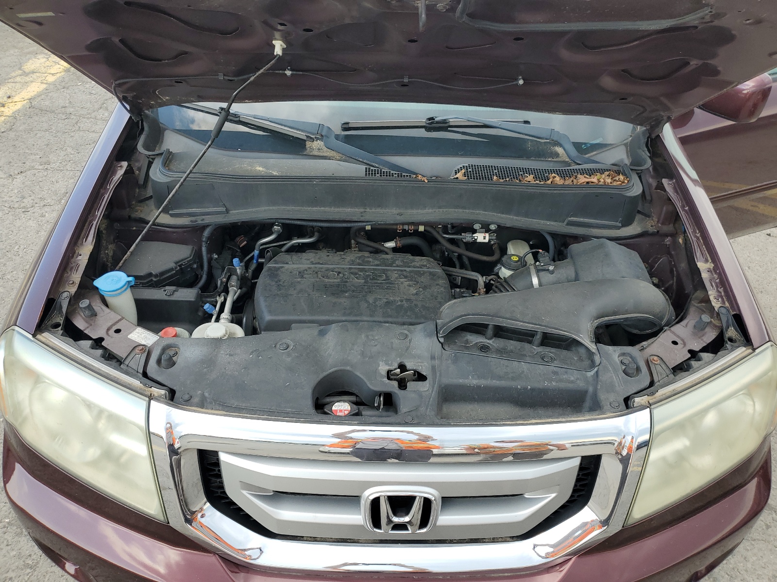 5FNYF48529B036943 2009 Honda Pilot Exl