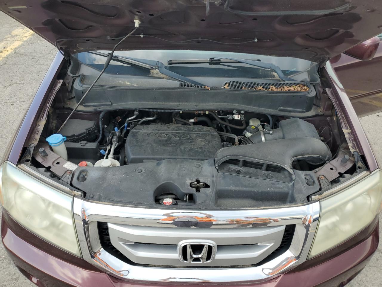 2009 Honda Pilot Exl VIN: 5FNYF48529B036943 Lot: 63669384