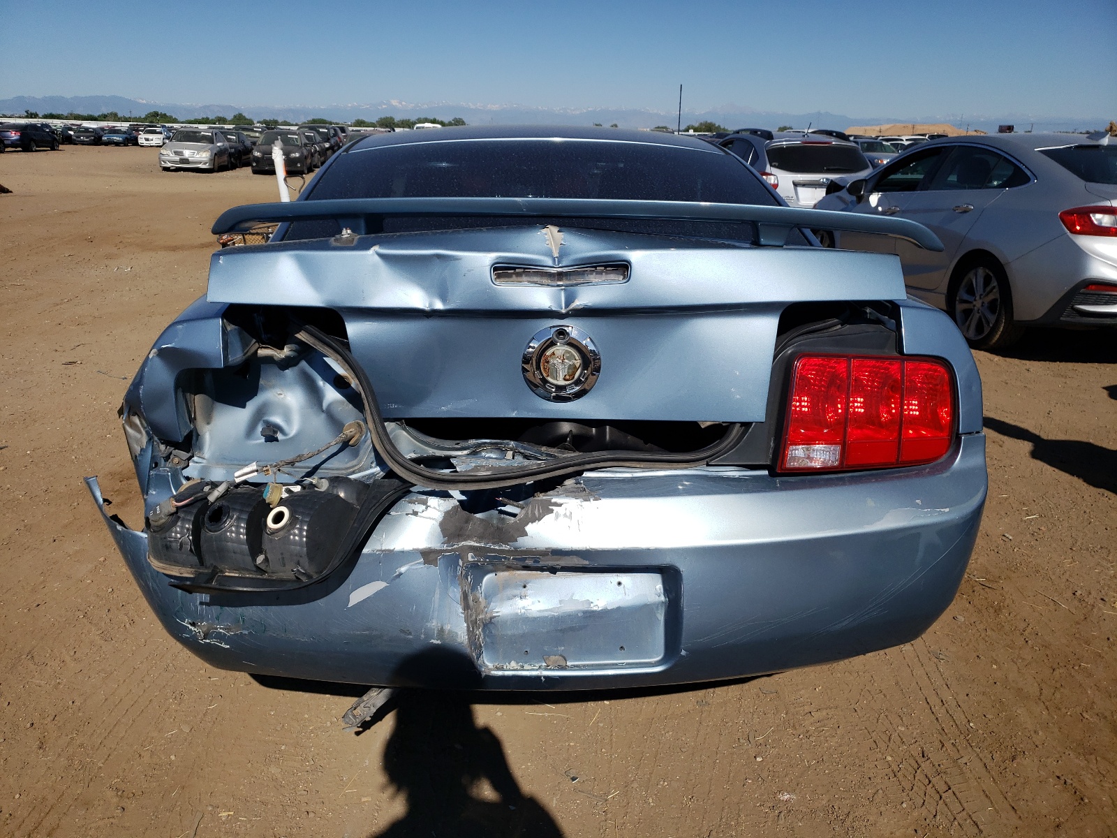 1ZVFT80N165141194 2006 Ford Mustang