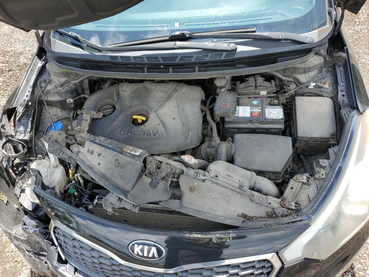 2014 Kia Forte Lx VIN: KNAFK4A67E5074697 Lot: 62635834