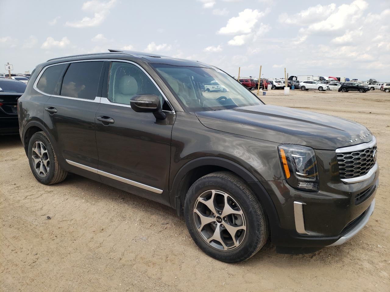 2020 Kia Telluride Ex VIN: 5XYP34HC5LG024000 Lot: 64217084