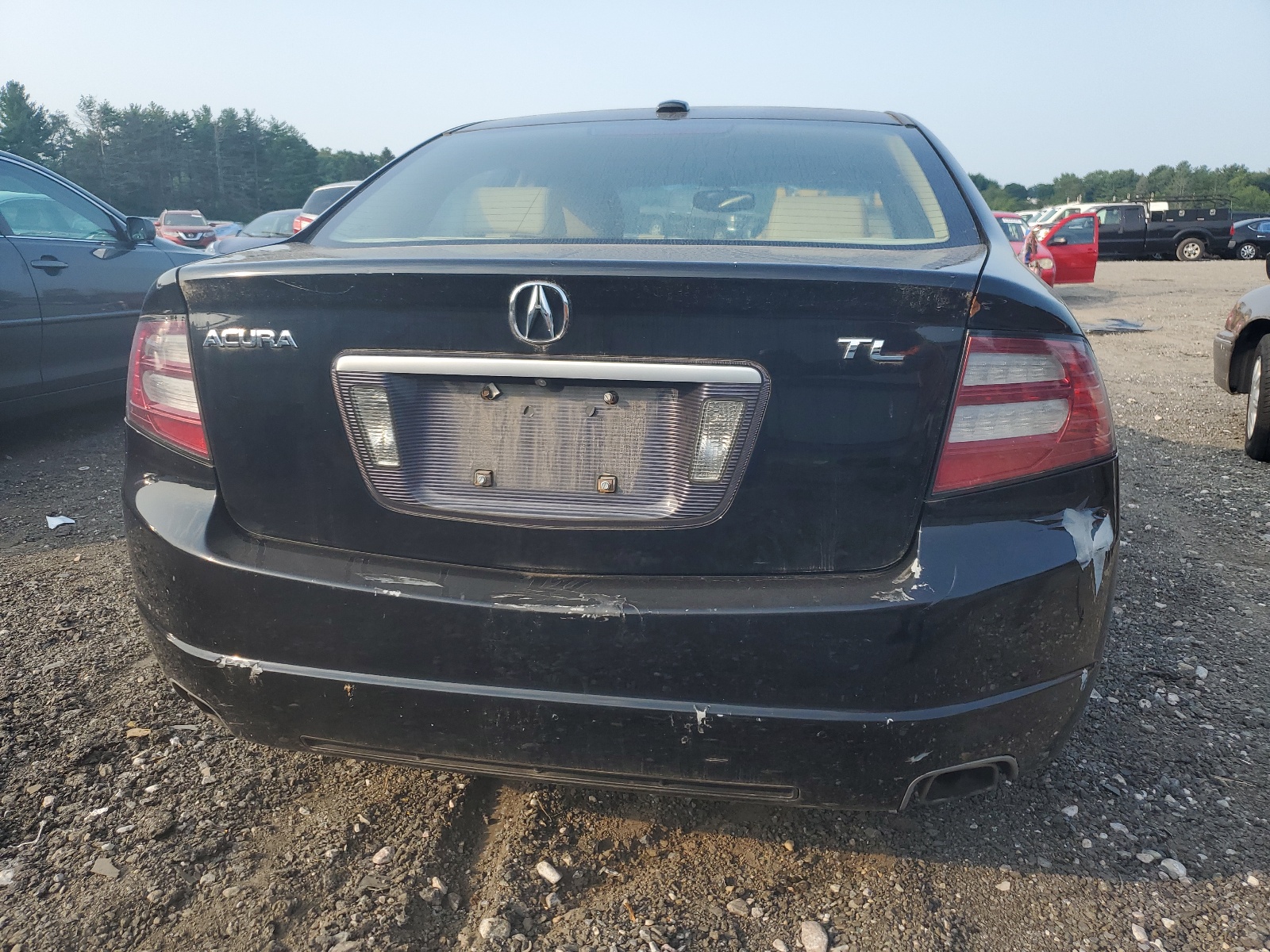 19UUA66218A039603 2008 Acura Tl