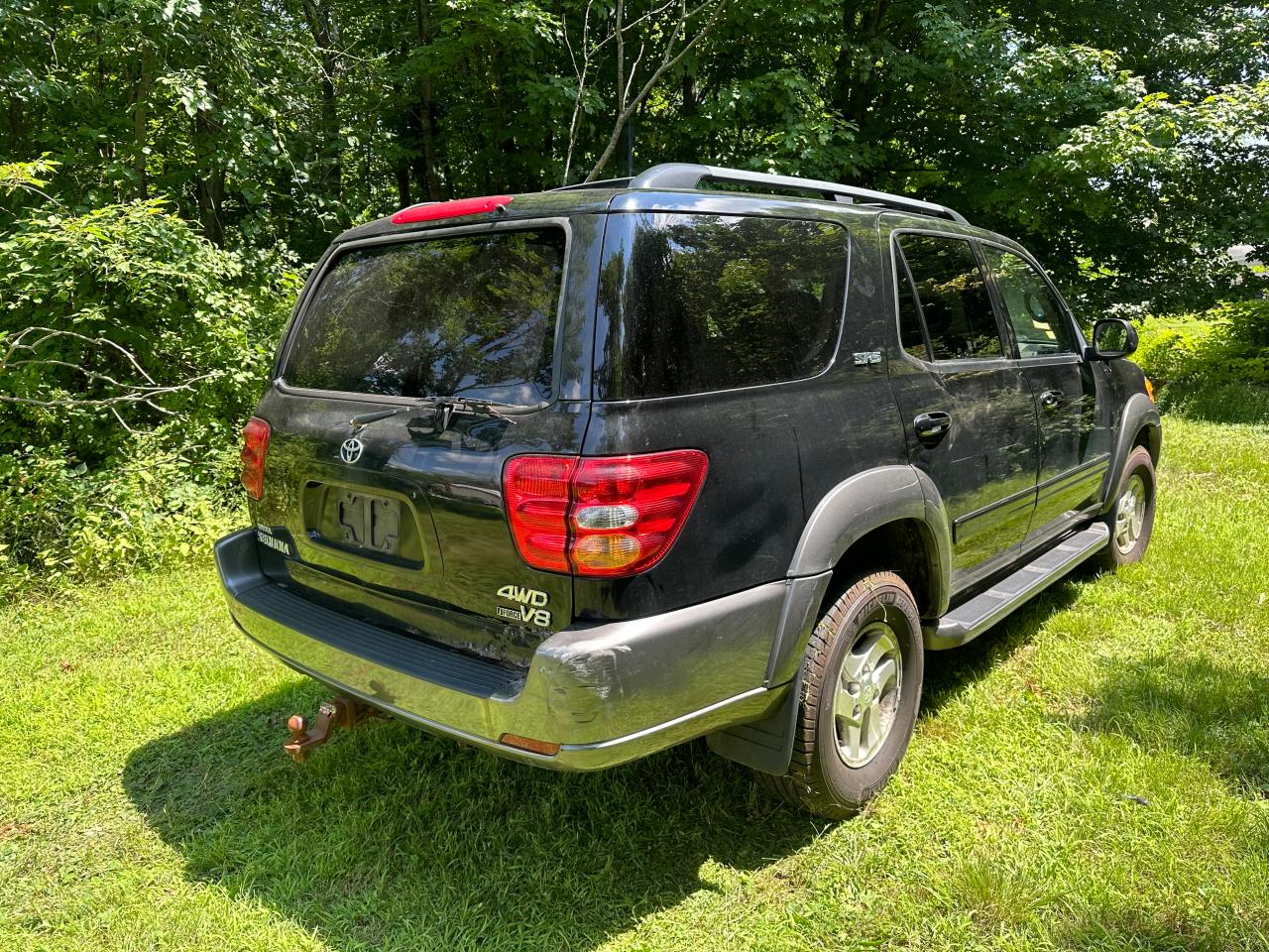 2004 Toyota Sequoia Sr5 VIN: 5TDBT44A24S213979 Lot: 64372744