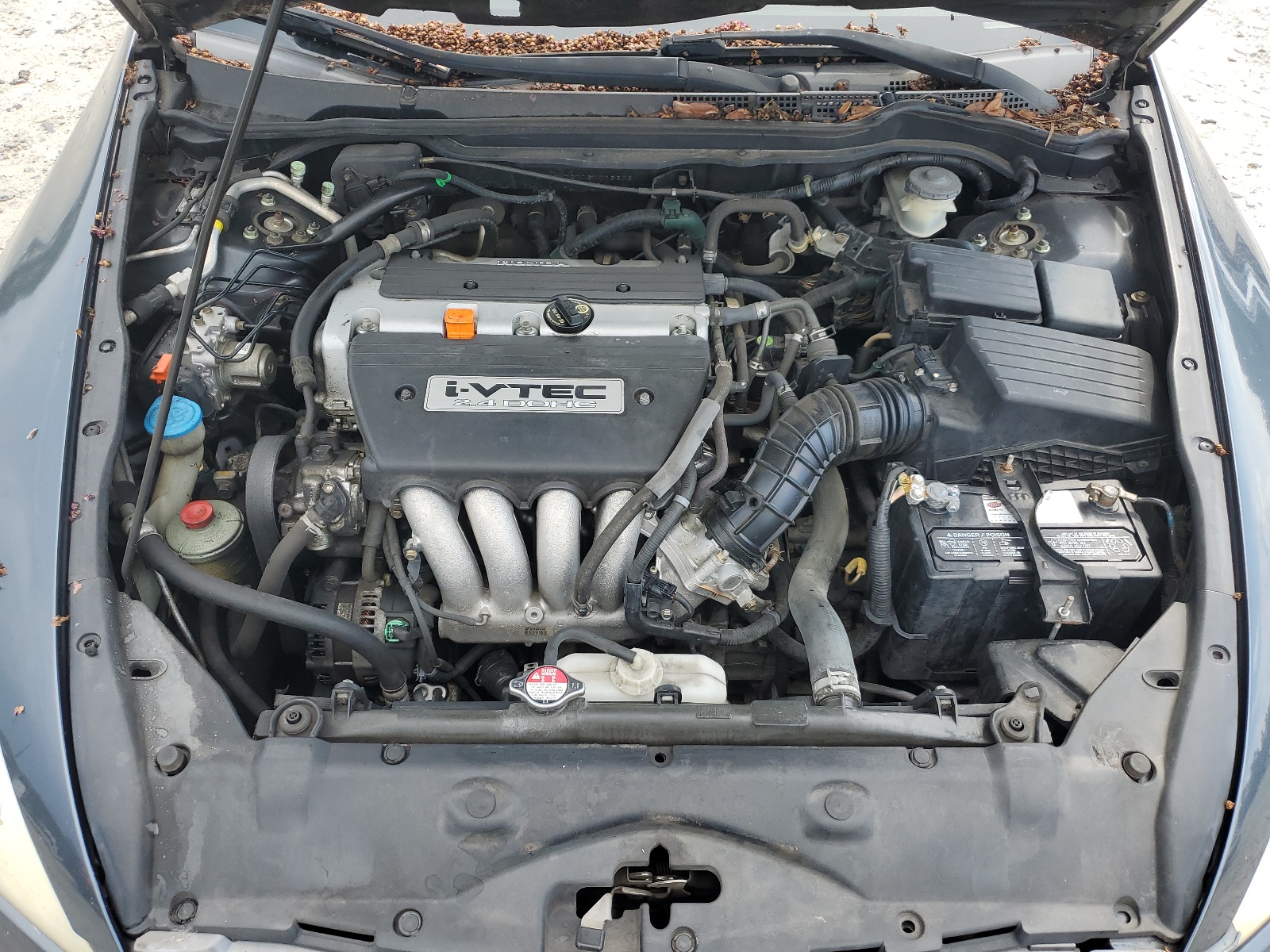 1HGCM72776A006306 2006 Honda Accord Ex