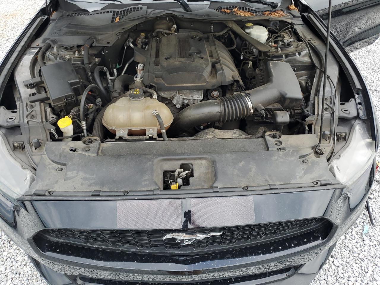 2016 Ford Mustang VIN: 1FA6P8TH4G5331091 Lot: 63063864