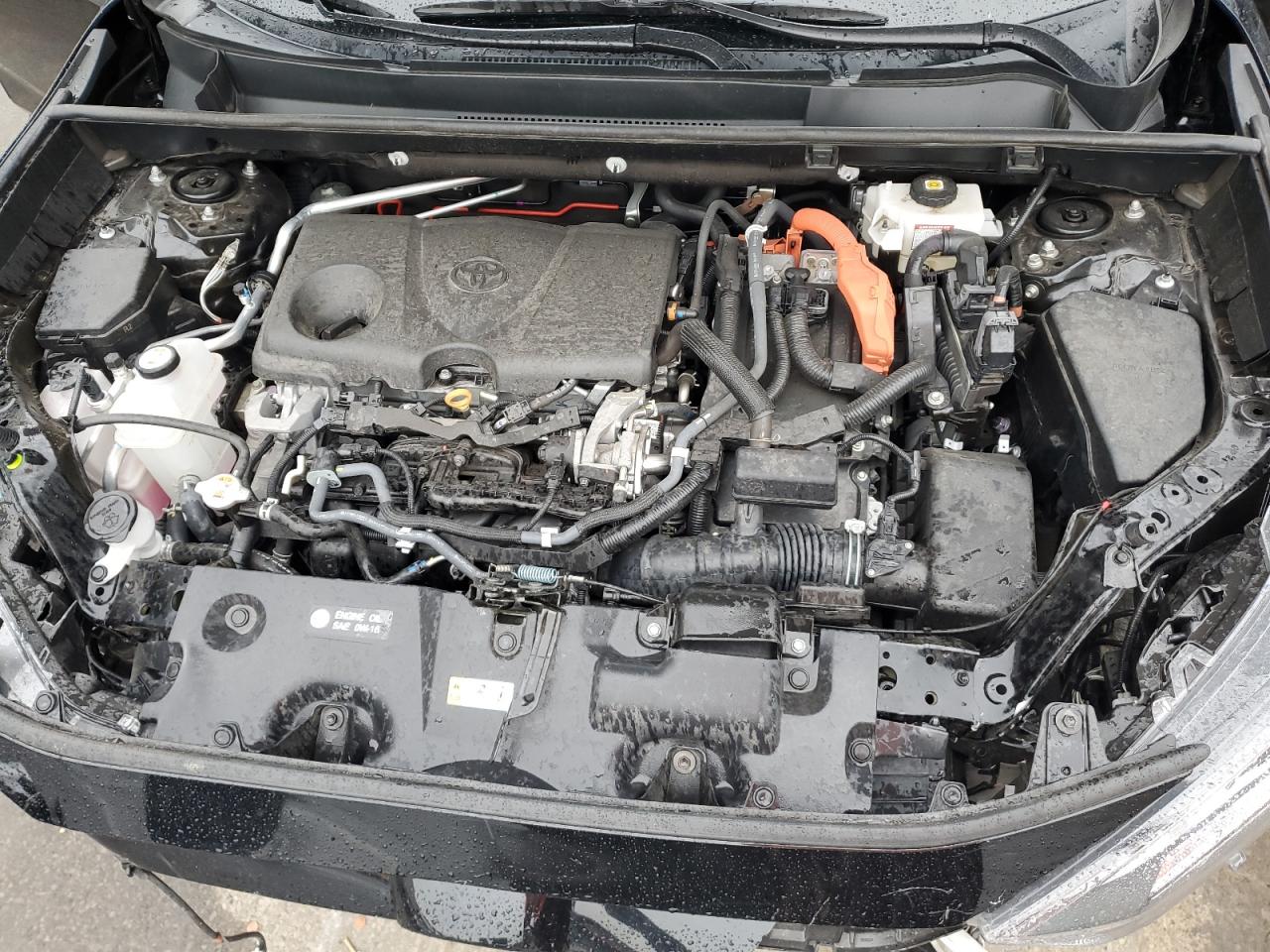 2021 Toyota Rav4 Xle VIN: 4T3RWRFV5MU044817 Lot: 64468264