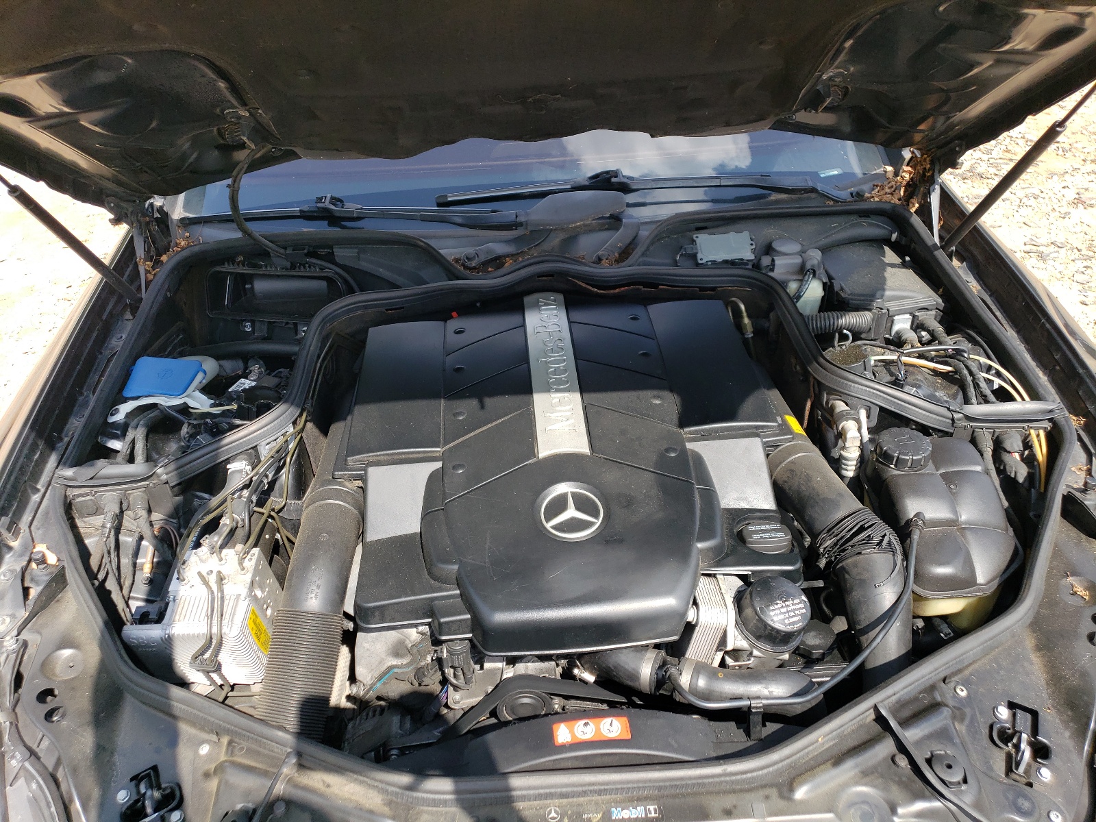 WDDDJ75XX6A027079 2006 Mercedes-Benz Cls 500C