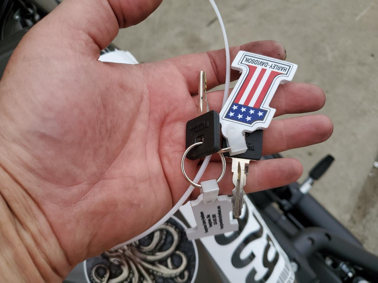 2019 Harley-Davidson Xl883 N VIN: 1HD4LE212KC417048 Lot: 81882914